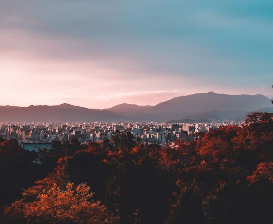 ΑΥΤΟΚΡΑΤΟΡΙΚΗ ΙΑΠΩΝΙΑ
