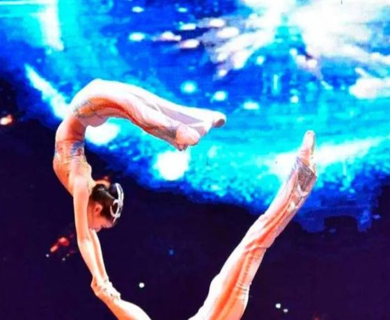 Beijing Roast Duck Dinner and Acrobatic Show with Round Way Transfers - Private