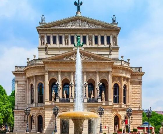 Frankfurt Wine Tasting Half-Day Private Tour