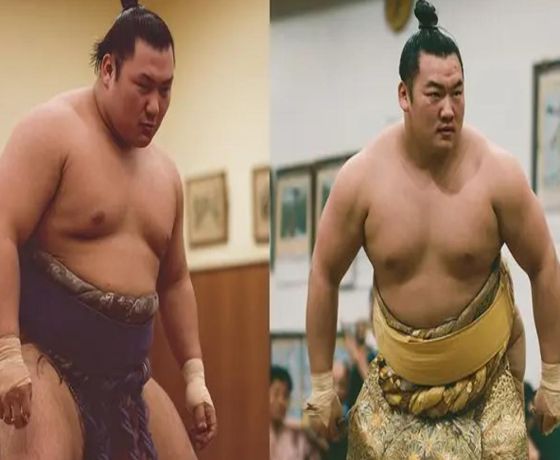 Tokyo Shinjuku Sumo Show & Experience with Photo